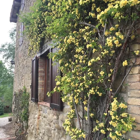 Casaccia 别墅 哥尔顿