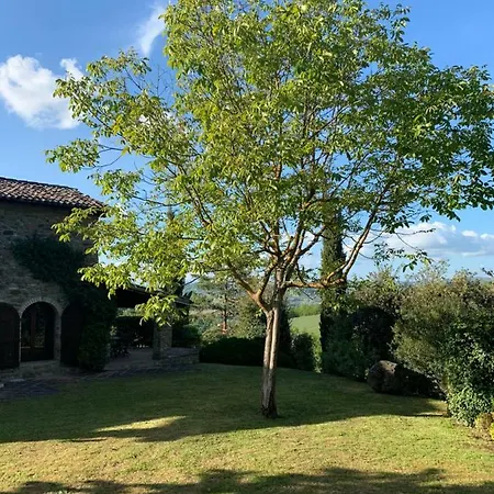Casaccia Cortona